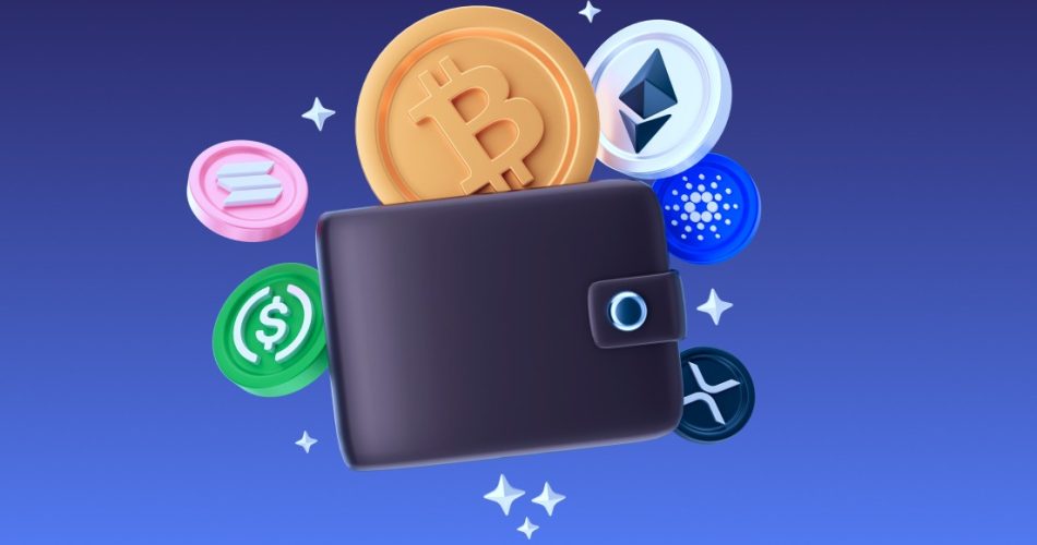 Guide To Choosing the Best and Most Secure Crypto Wallets compressed wallet